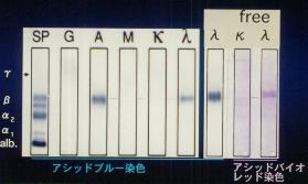 �Ɖu�Œ�@