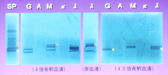 �Ɖu�Œ�@