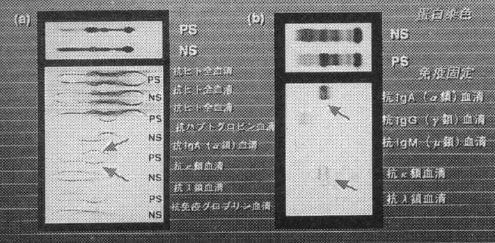 �Ɖu�d�C�j��