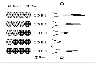 �k�c�g�A�C�\�U�C��