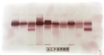 �`�k�o���Ҍ���