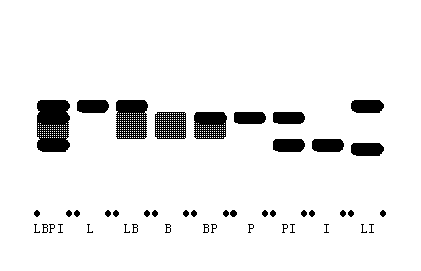 �`�k�o�}�[�J�[�̕���