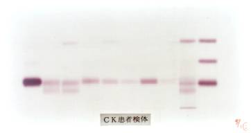 �b�j���Ҍ���