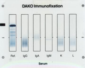 �h�z�E�Ȃ�