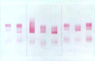 ���|�`������