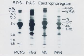 �A�`���j����